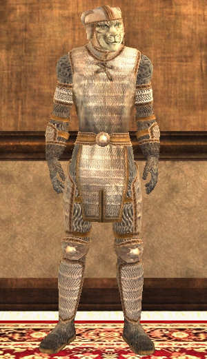 Tin chainmail Tier 1 Mailles lvl 1