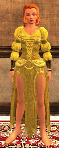 The Hero's Golden Treasure & The Heroine's Golden Treasure Tier 4 Tissu lvl 1