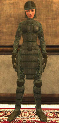 Tanned Leather Tier 2 Cuir lvl 10