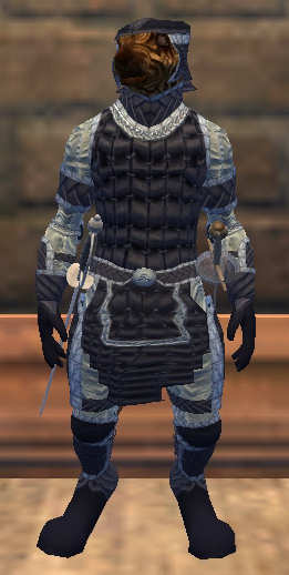 Ours des steppes Tier 3 Cuir  lvl 20