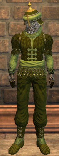 Nature's Purification Tier 7 Cuir lvl 67