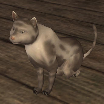 Stray alley cat PNJ Familier 15SP 0