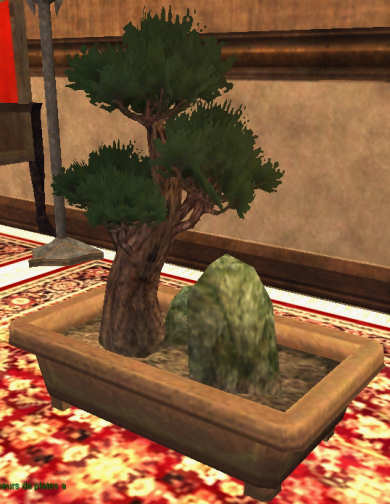 a tranquil bonsai Claim Plantes   0SP 0