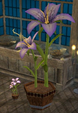 Petits lis pourpres Tier 8 Plantes   125SP 72