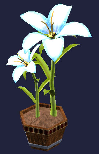 Lis blanc en pot Tier 8 Plantes   125SP 73